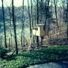 Thumbs/tn_Clubhouse in the Trees.jpg
